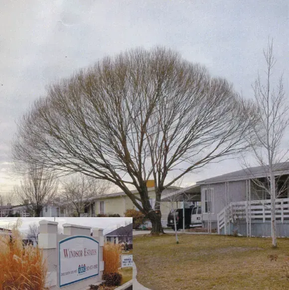 A sign for warner estate sits in front of a tree