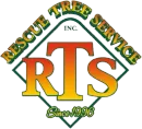 Logo for "Rescue Tree Service, Inc." featuring large red and yellow "RTS" letters inside a green diamond, "Since 1996" below.
