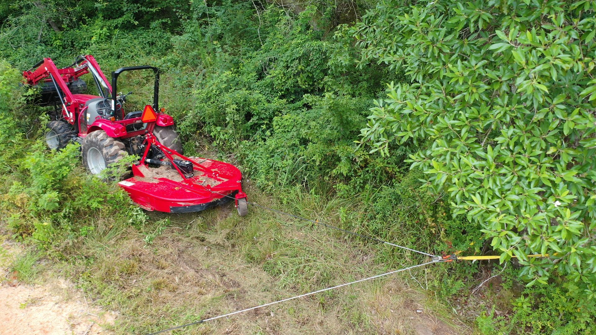 A red tractor with a bush hog mower clears tall brush in a grassy field next to a wooded area.
