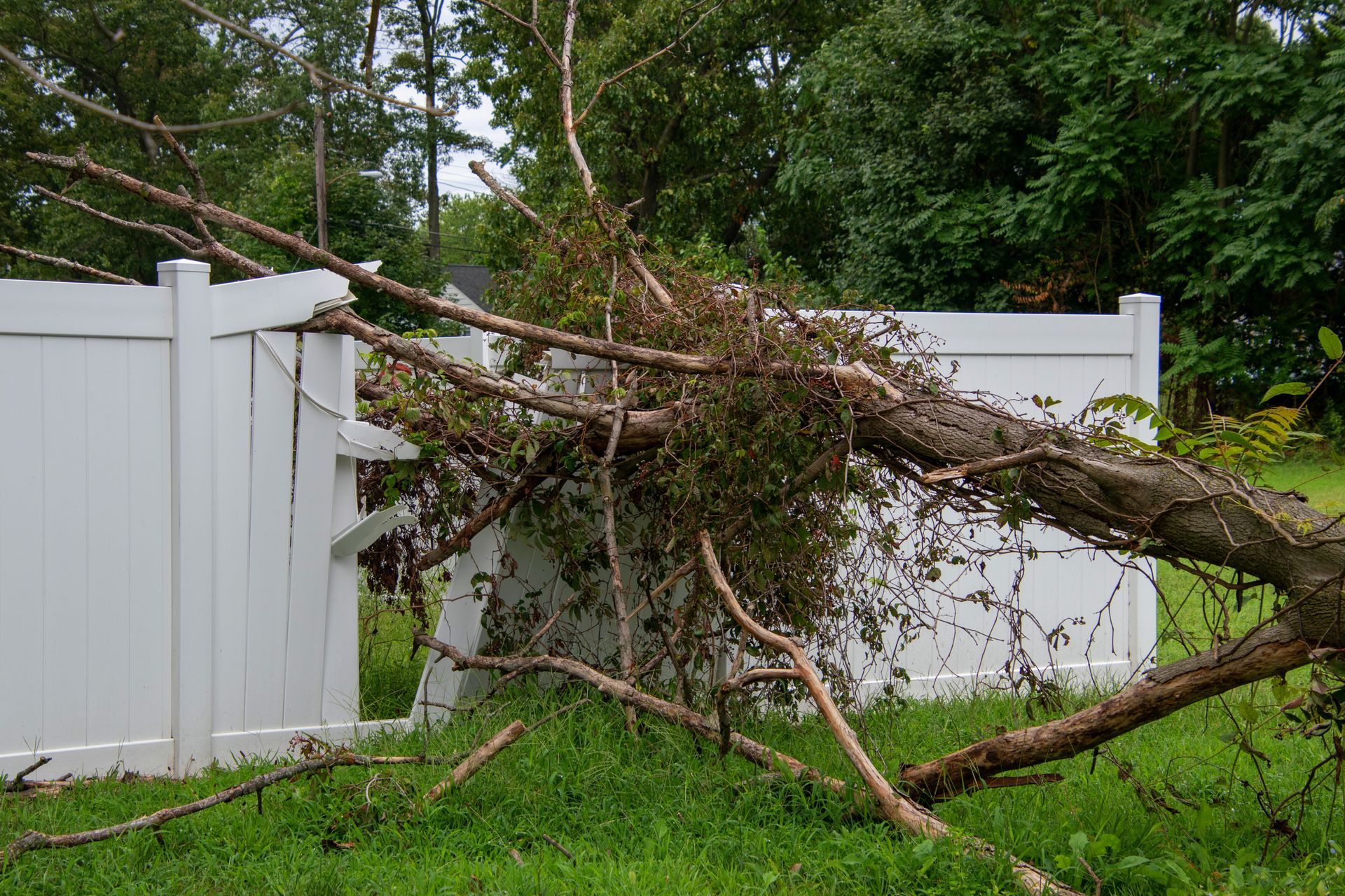 A fallen tree lies across a damaged white vinyl fence in a grassy backyard.