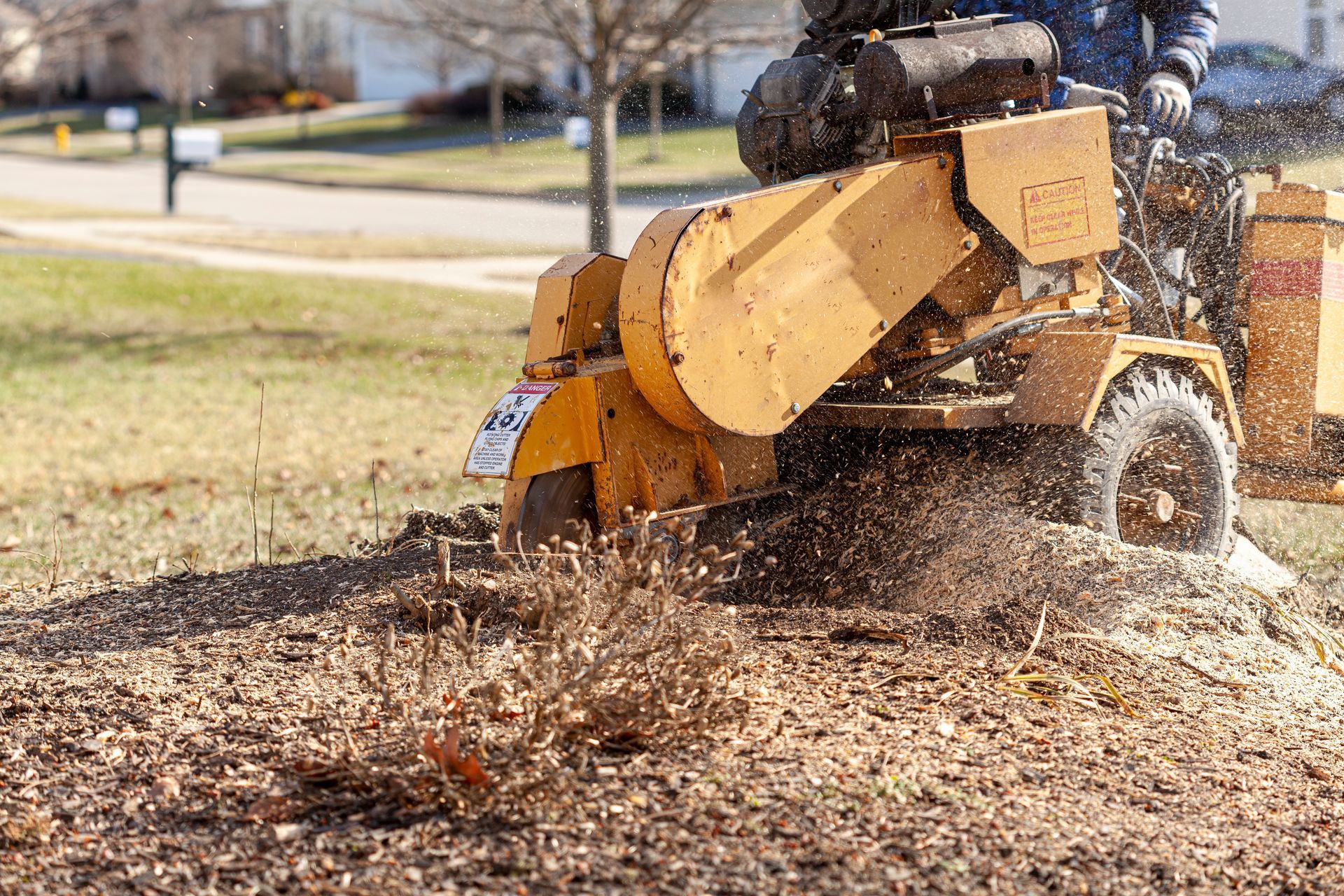 A yellow stump grinder machine chips away at a tree stump in a suburban yard.