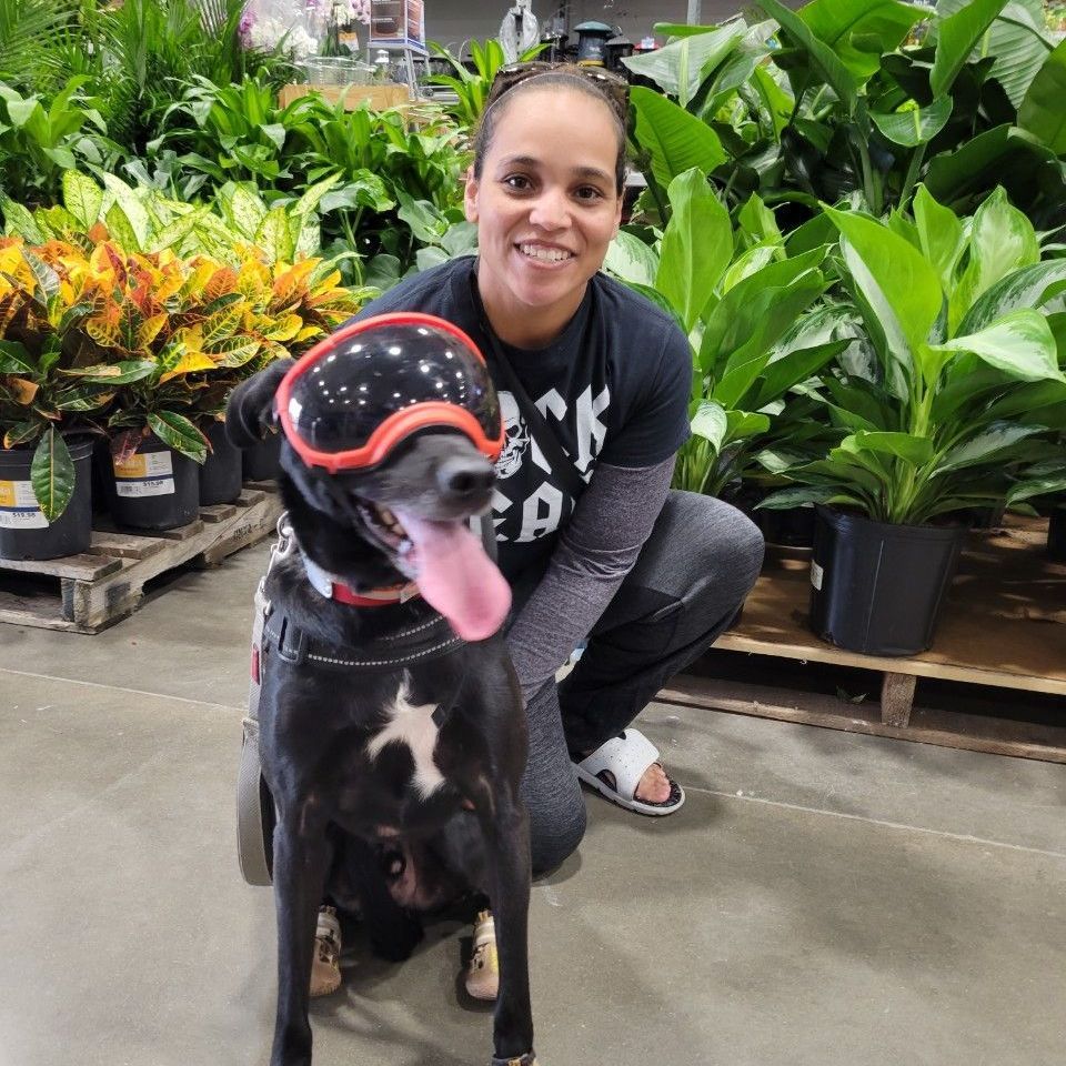Jasmine and Tony- a vet and her support dog.