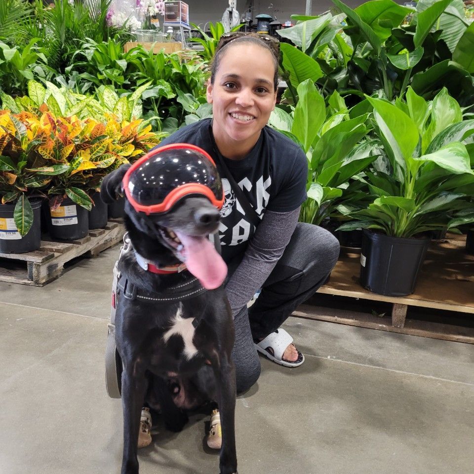 A veteran and her dog