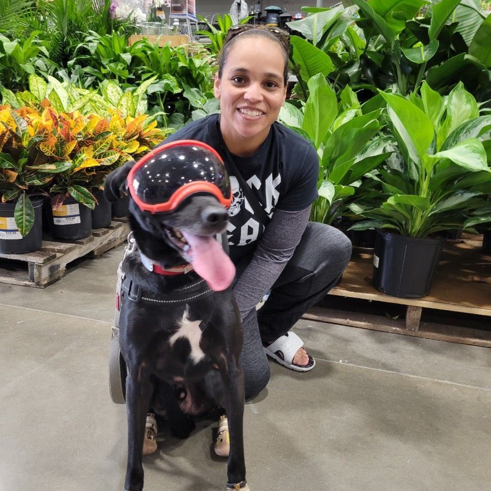 A veteran and her dog