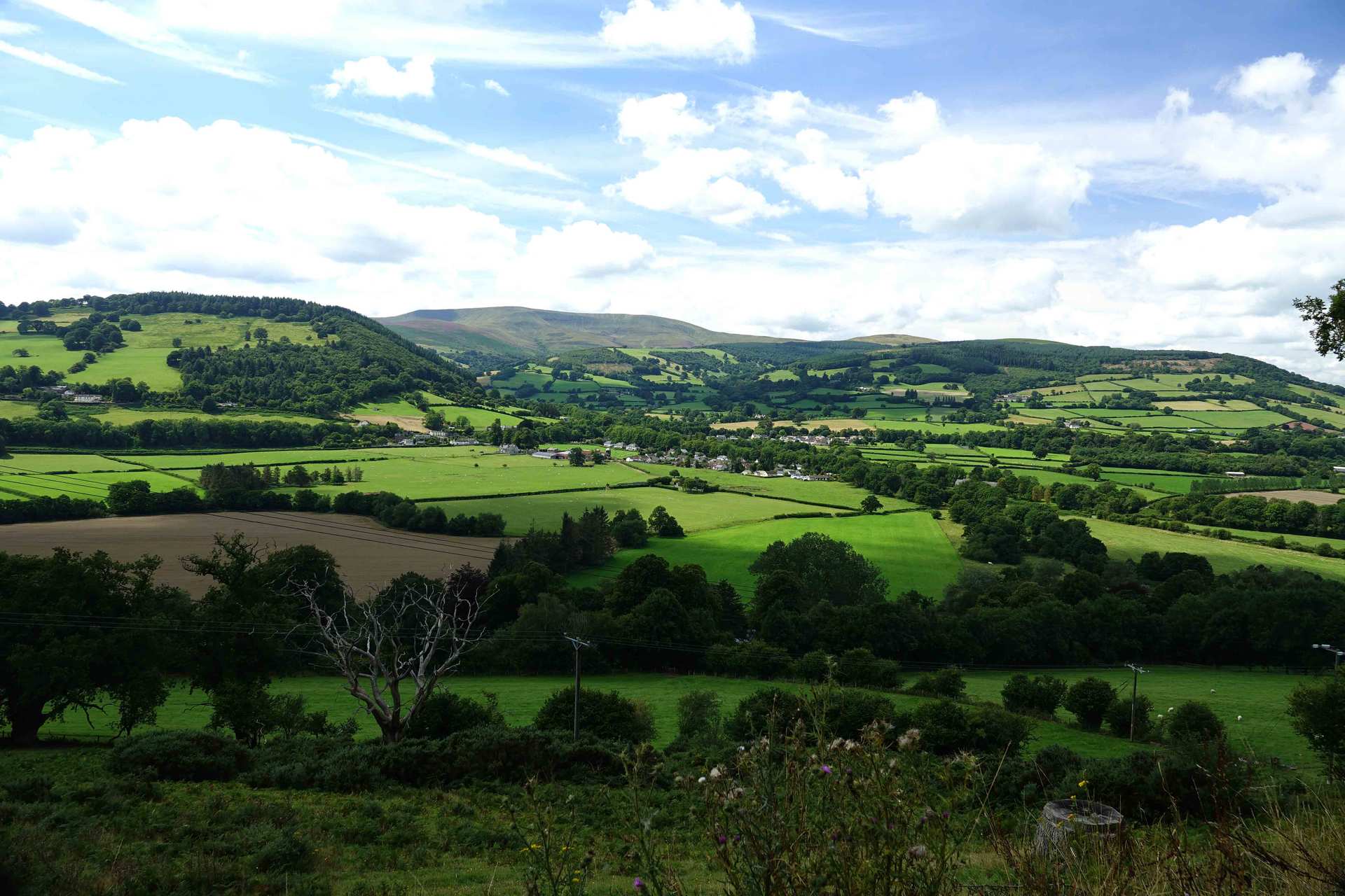 Landscape view near the draen