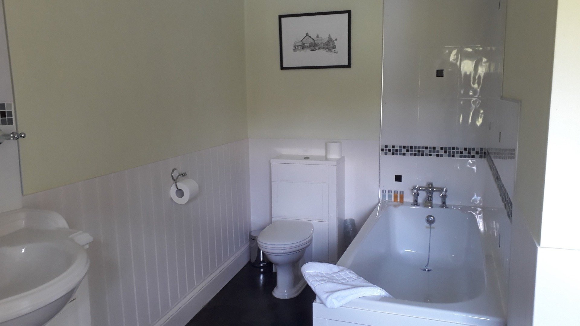 The ivy room bath at the draen