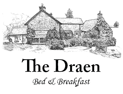 The Draen bed and breakfast