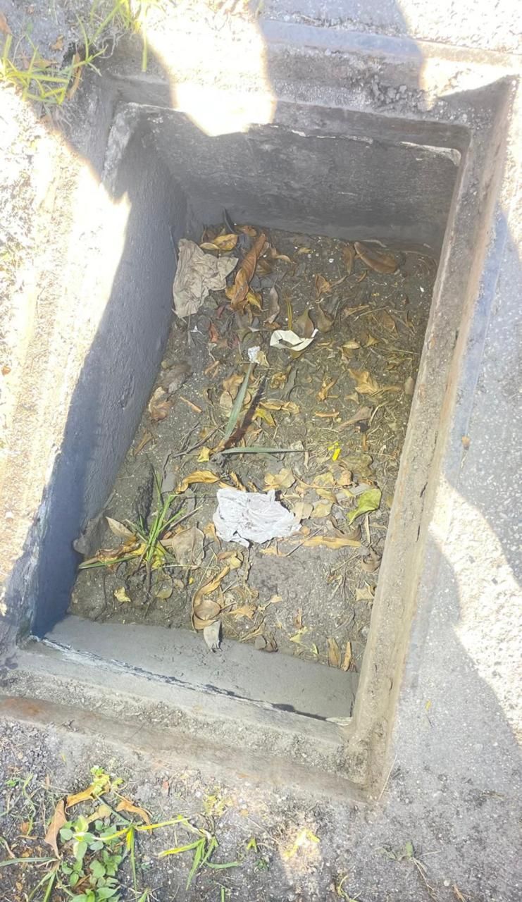 A concrete box filled with dirt and leaves on the ground.