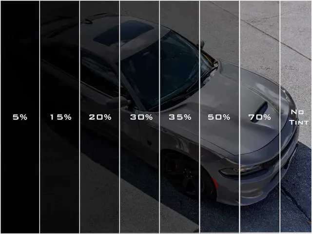 Car window tint levels from 5% to no tint, showing varying degrees of light blockage on a car.