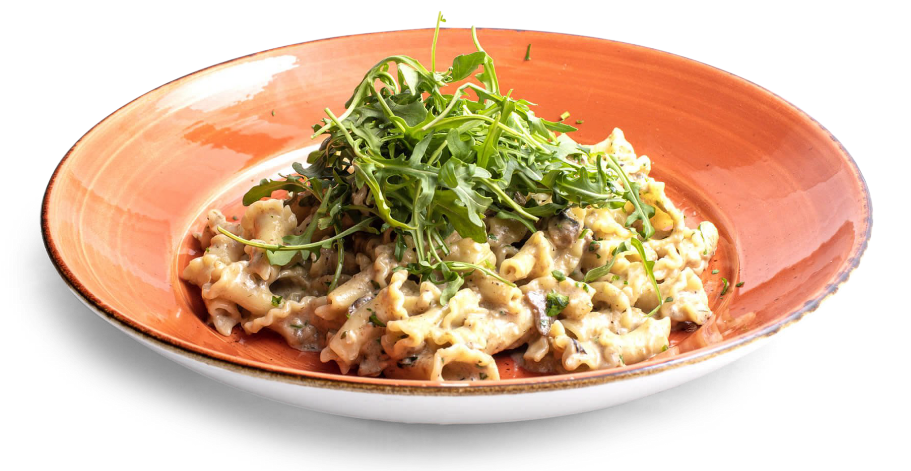 Truffle Mushroom Campanelle