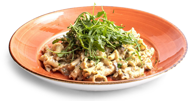 Truffle Mushroom Campanelle