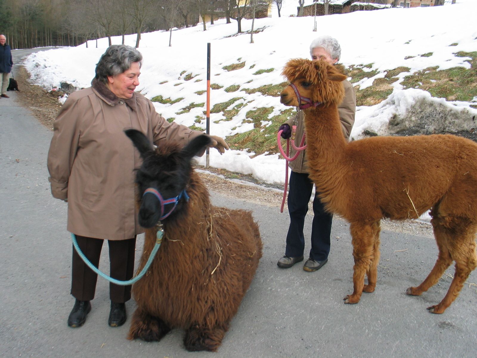 LandesKompetenzZentrum, Am Antoniushof, Mensch Tier Beziehung