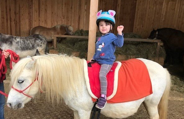 LandesKompetenzZentrum, Am Antoniushof, Mensch Tier Beziehung, Freizeitangebot