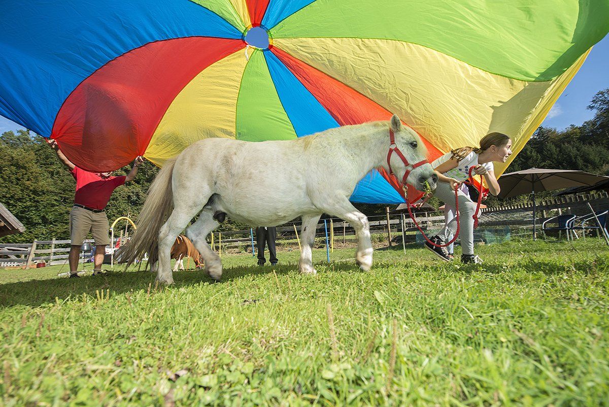 LandesKompetenzZentrum, Am Antoniushof, Mensch Tier Beziehung