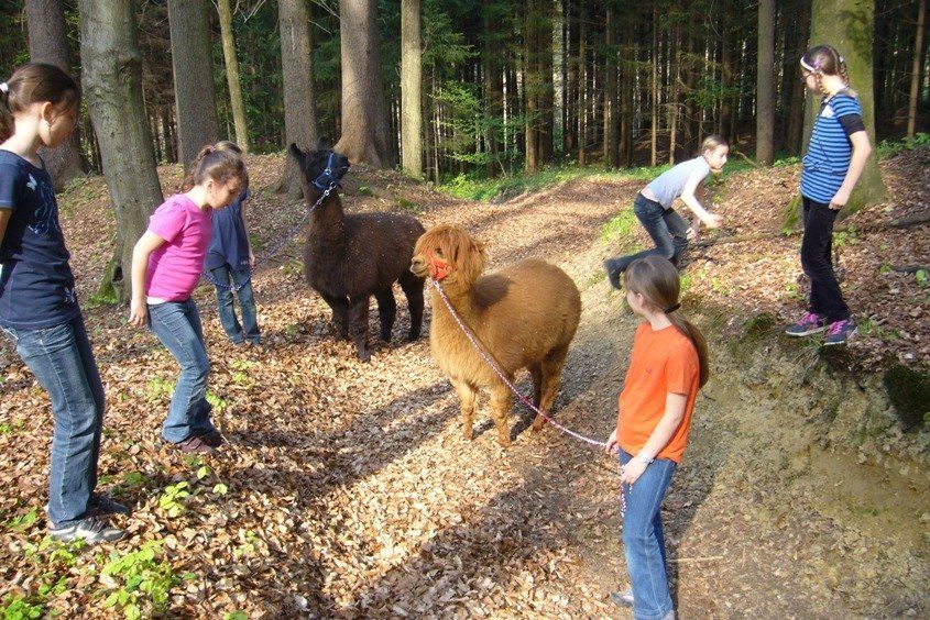 LandesKompetenzZentrum, Am Antoniushof, Mensch Tier Beziehung, Tiergestützte Intervention