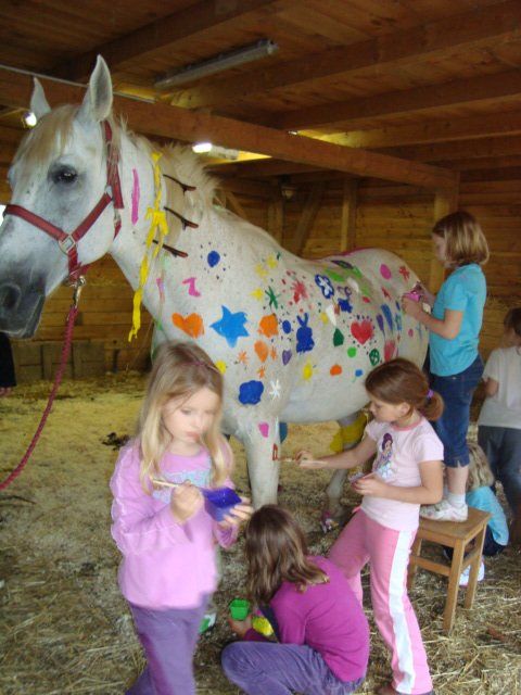 LandesKompetenzZentrum, Am Antoniushof, Mensch Tier Beziehung, Freizeitangebot