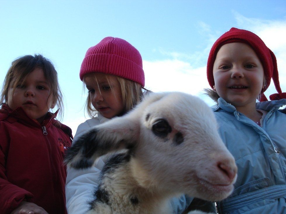 LandesKompetenzZentrum, Am Antoniushof, Mensch Tier Beziehung, Tiergestützte Intervention