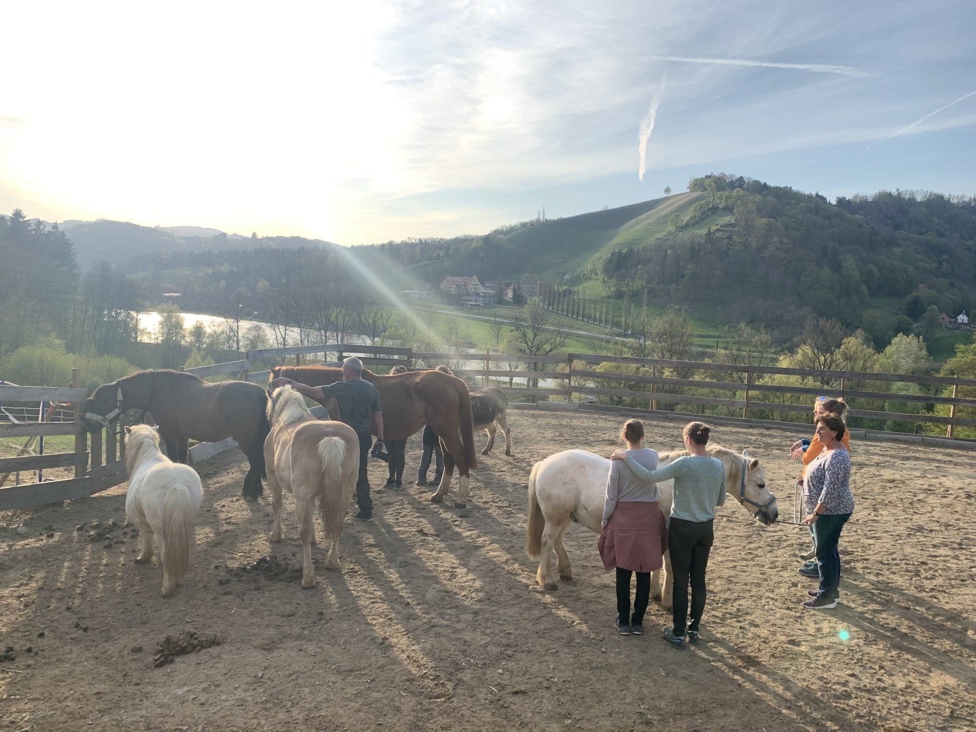 LandesKompetenzZentrum, Am Antoniushof, Mensch Tier Beziehung, Freizeitangebot
