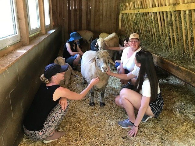 LandesKompetenzZentrum, Am Antoniushof, Mensch Tier Beziehung, Freizeitangebot