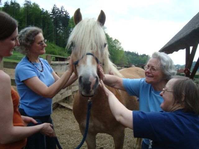 LandesKompetenzZentrum, Am Antoniushof, Mensch Tier Beziehung, Freizeitangebot