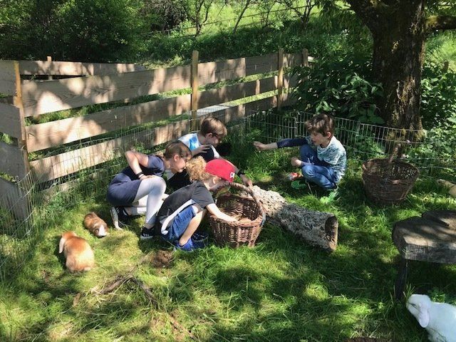 LandesKompetenzZentrum, Am Antoniushof, Mensch Tier Beziehung, Freizeitangebot