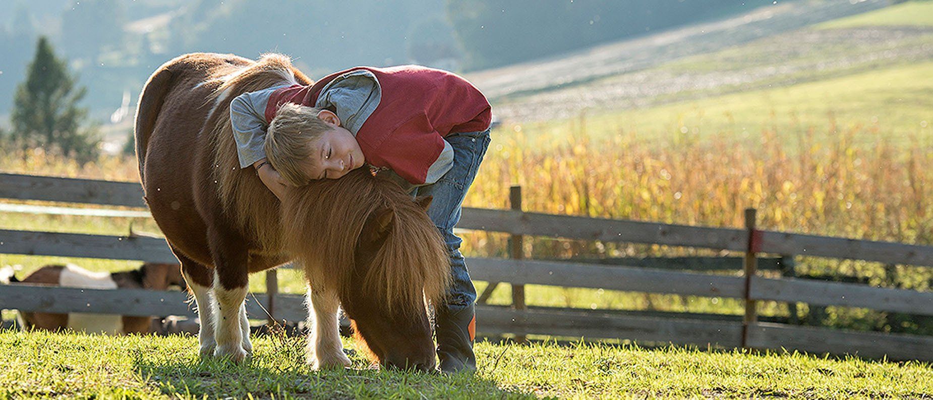 LandesKompetenzZentrum, Am Antoniushof, Mensch Tier Beziehung, Freizeitangebot