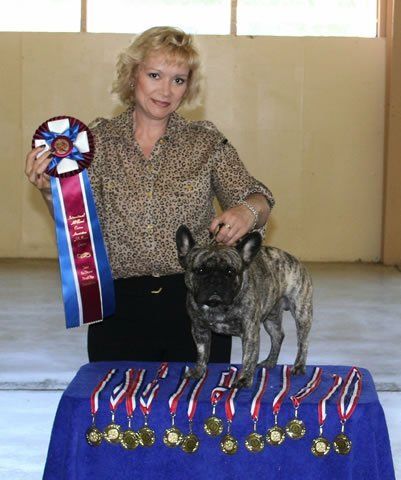 Best in show