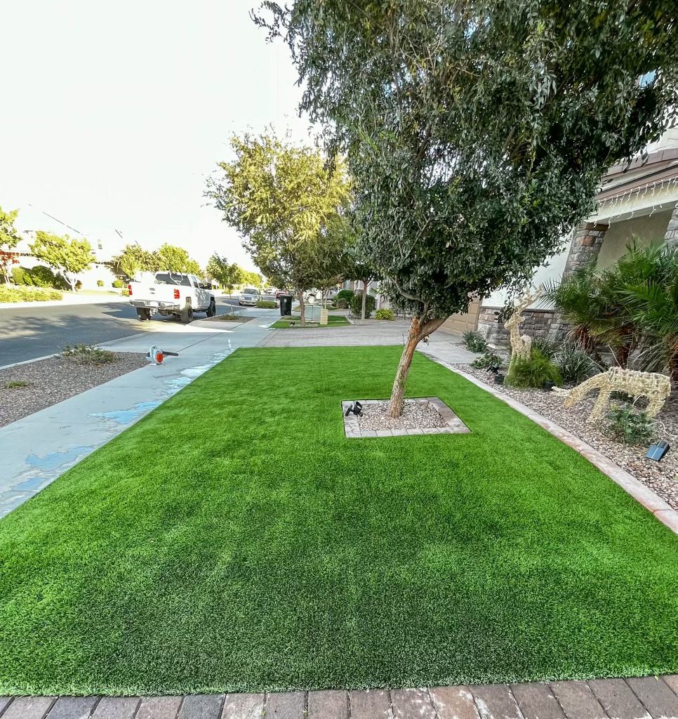 turf cleaning Arizona