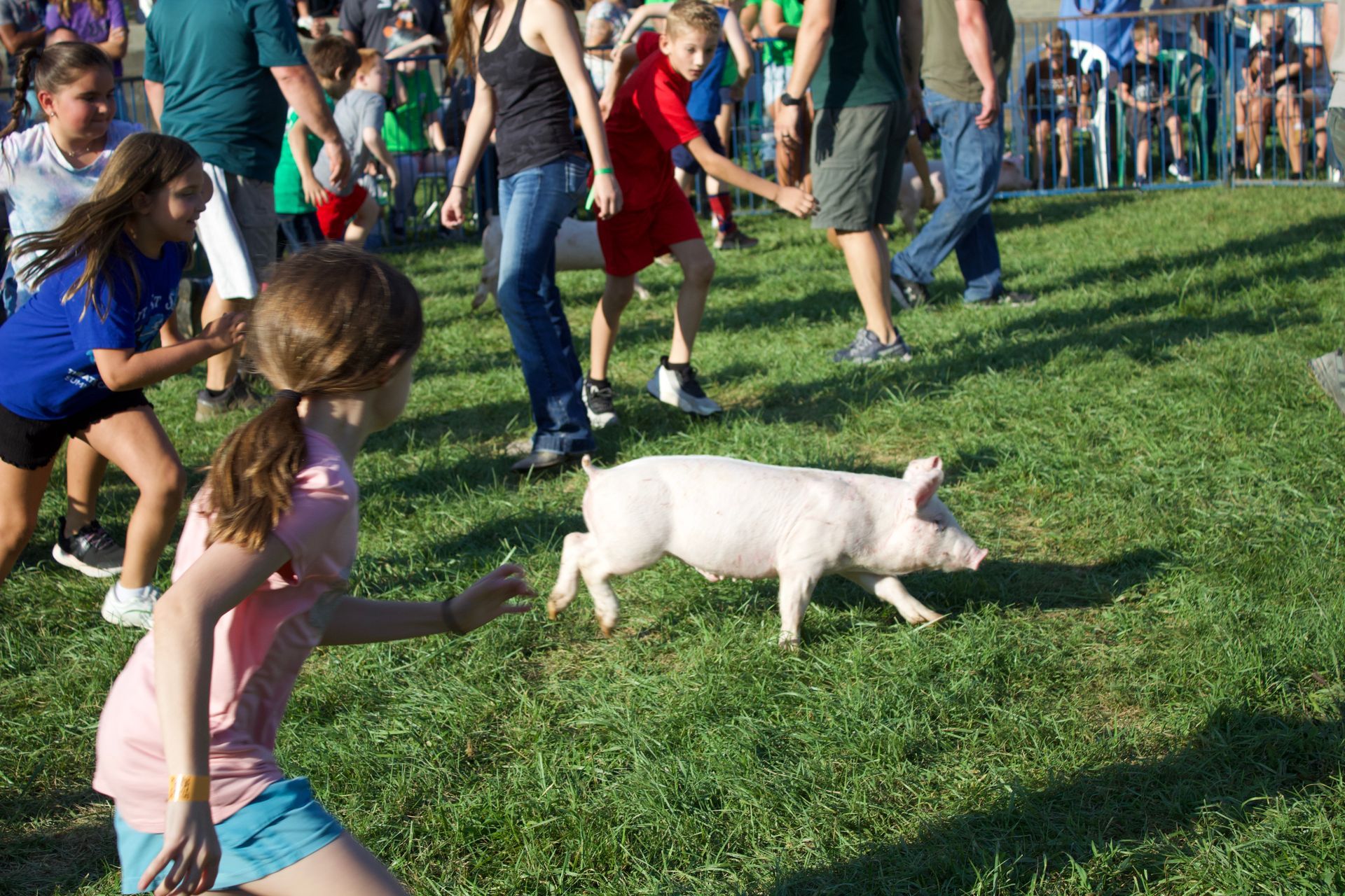 Powerwheel Demo Derby