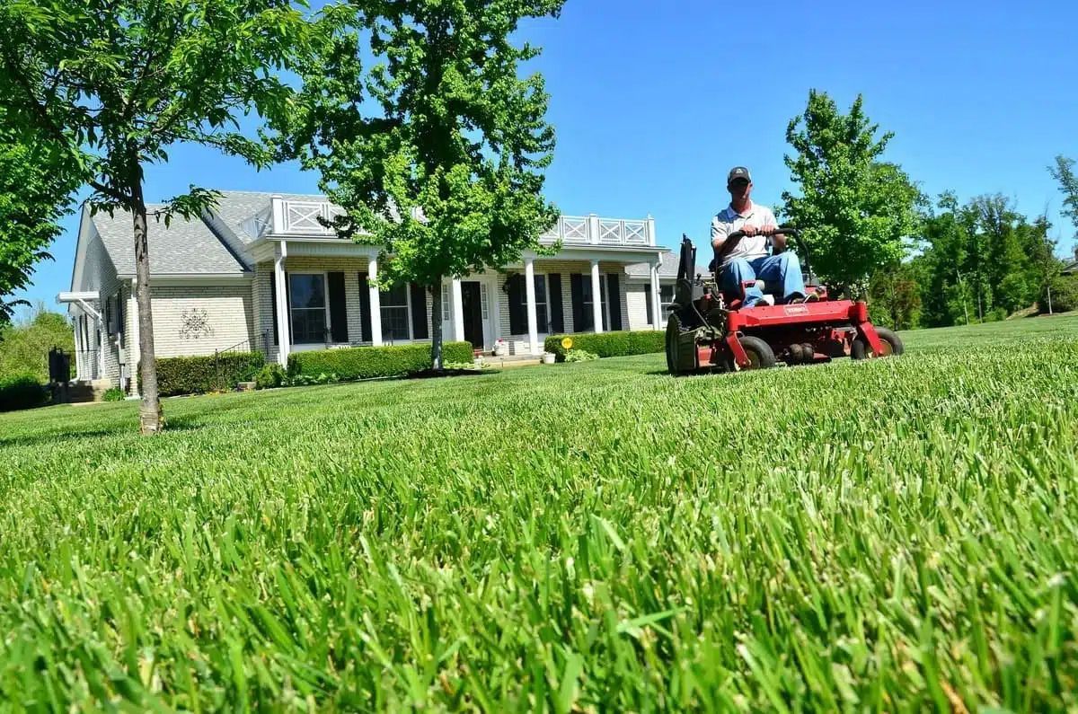 Lawn Mowing