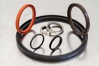 Rings for rotating shafts
