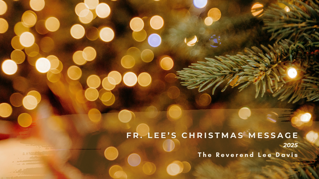 image of christmas lights on tree