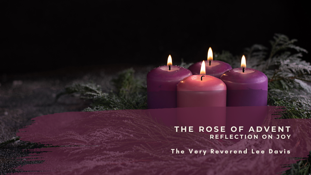 Rose of Advent Graphic