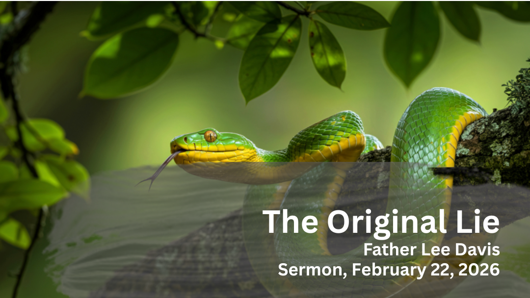 picture of serpent around tree branch with title of sermon The Original Lie