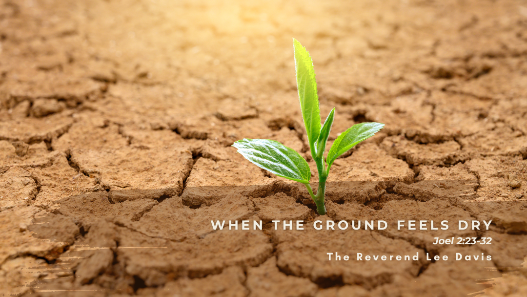 cracked and dry earth with green sprout emerging