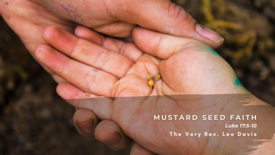 hand holding mustard seed