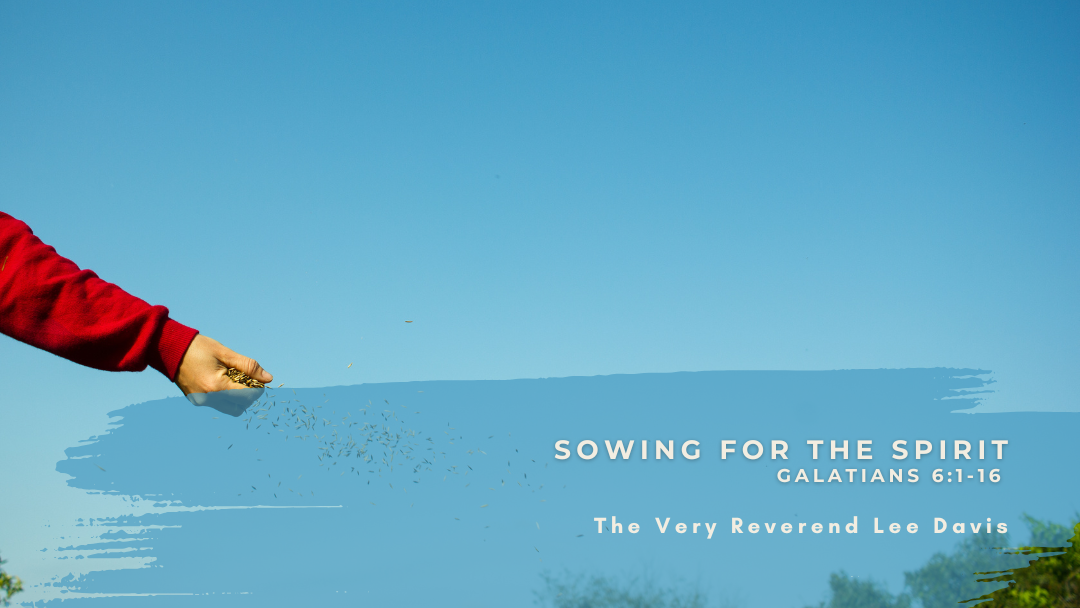 picture of sowing seeds