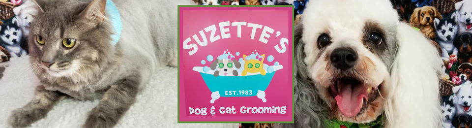Cats and dogs flanking “Suzette’s Pet Grooming” logo on a pink banner