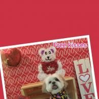 Two small dogs in festive outfits with “Free Kisses” and “Love” decorations on a red background