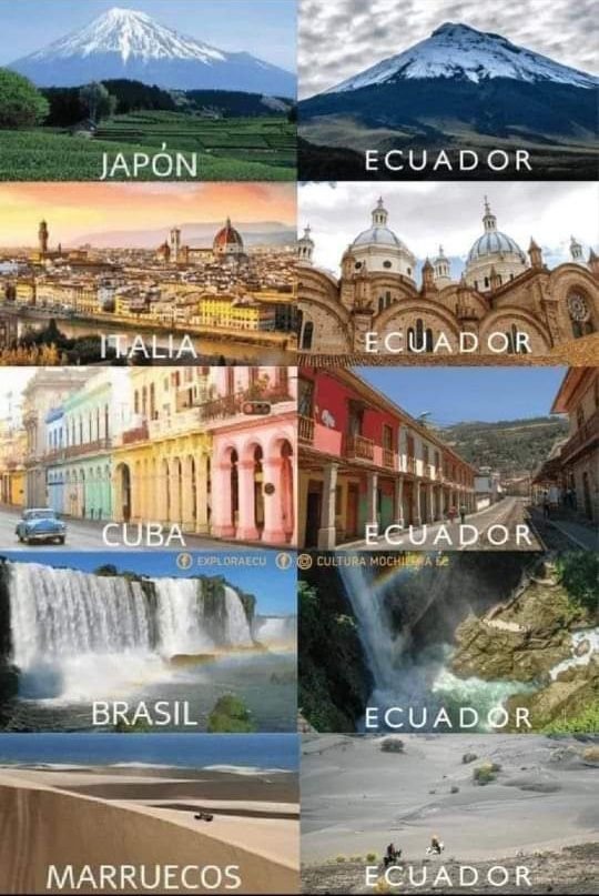 Dquito Express, transporte particular