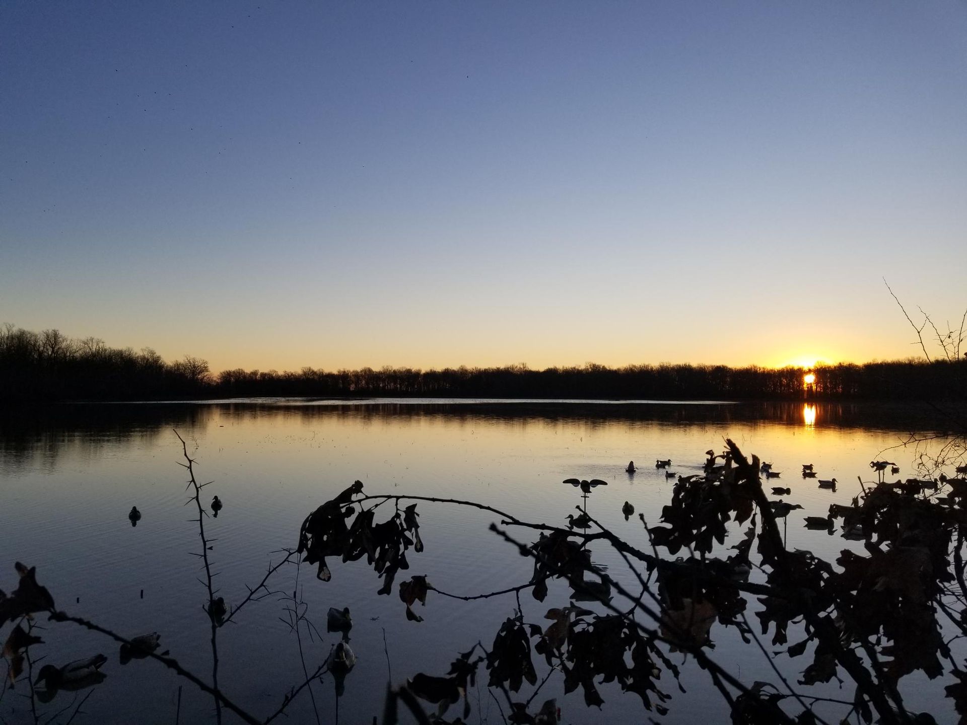 Calm lake at dusk, sun setting behind trees. Silhouetted branches in foreground.