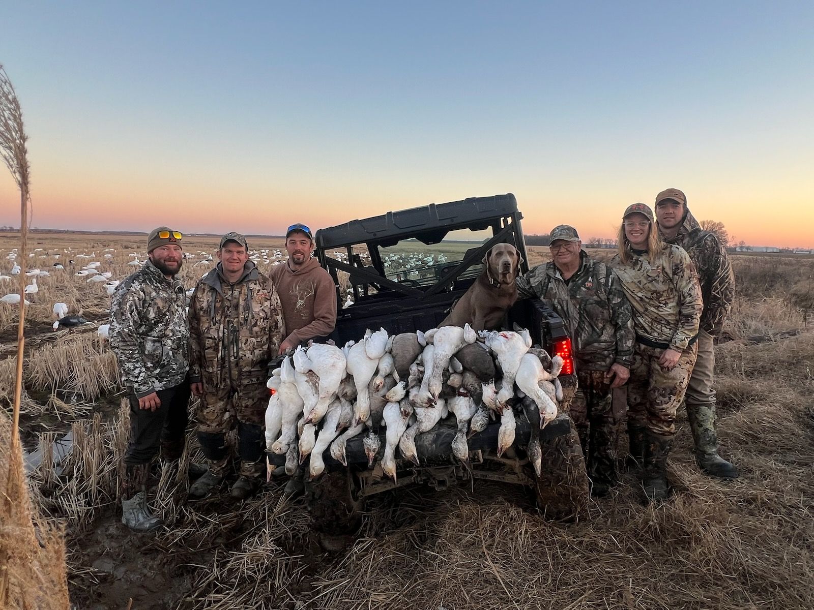 Group of hunters with a utility vehicle, and many dead ducks in a field at sunset.