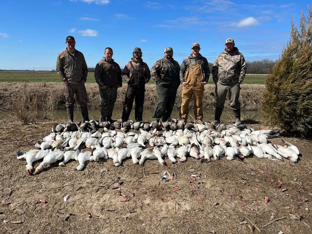 Group of six hunters pose with dozens of harvested white snow geese in field.