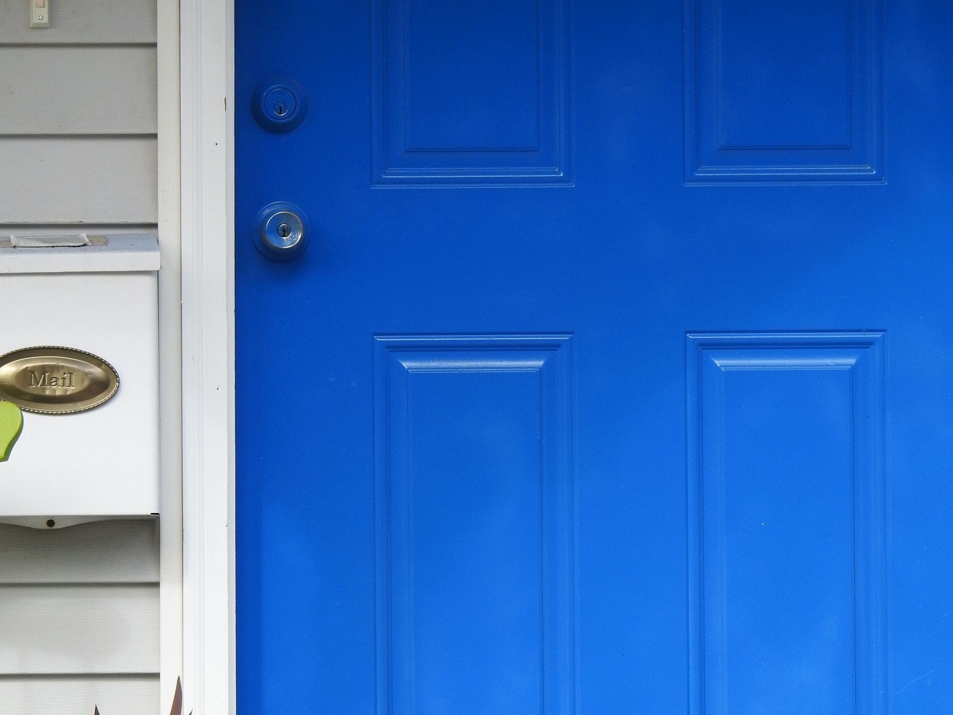 A blue door with a plant in front of it