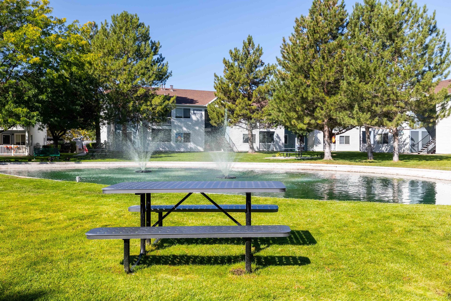 Picnic table on green grass, fountain in pond, trees and light-colored buildings in background.