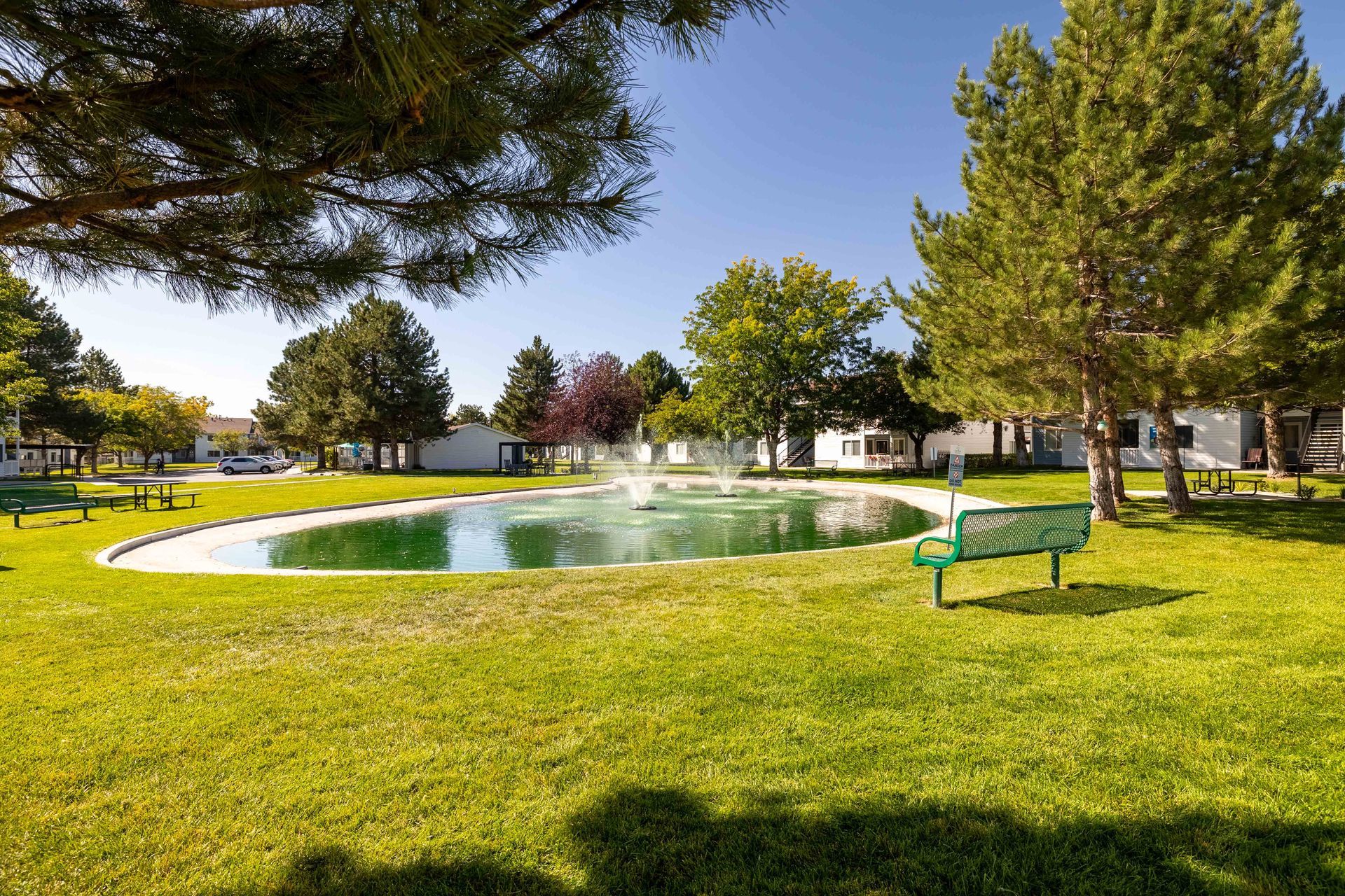 Park with a pond and fountain. A green bench is in front of the pond. Trees and buildings are in the background.
