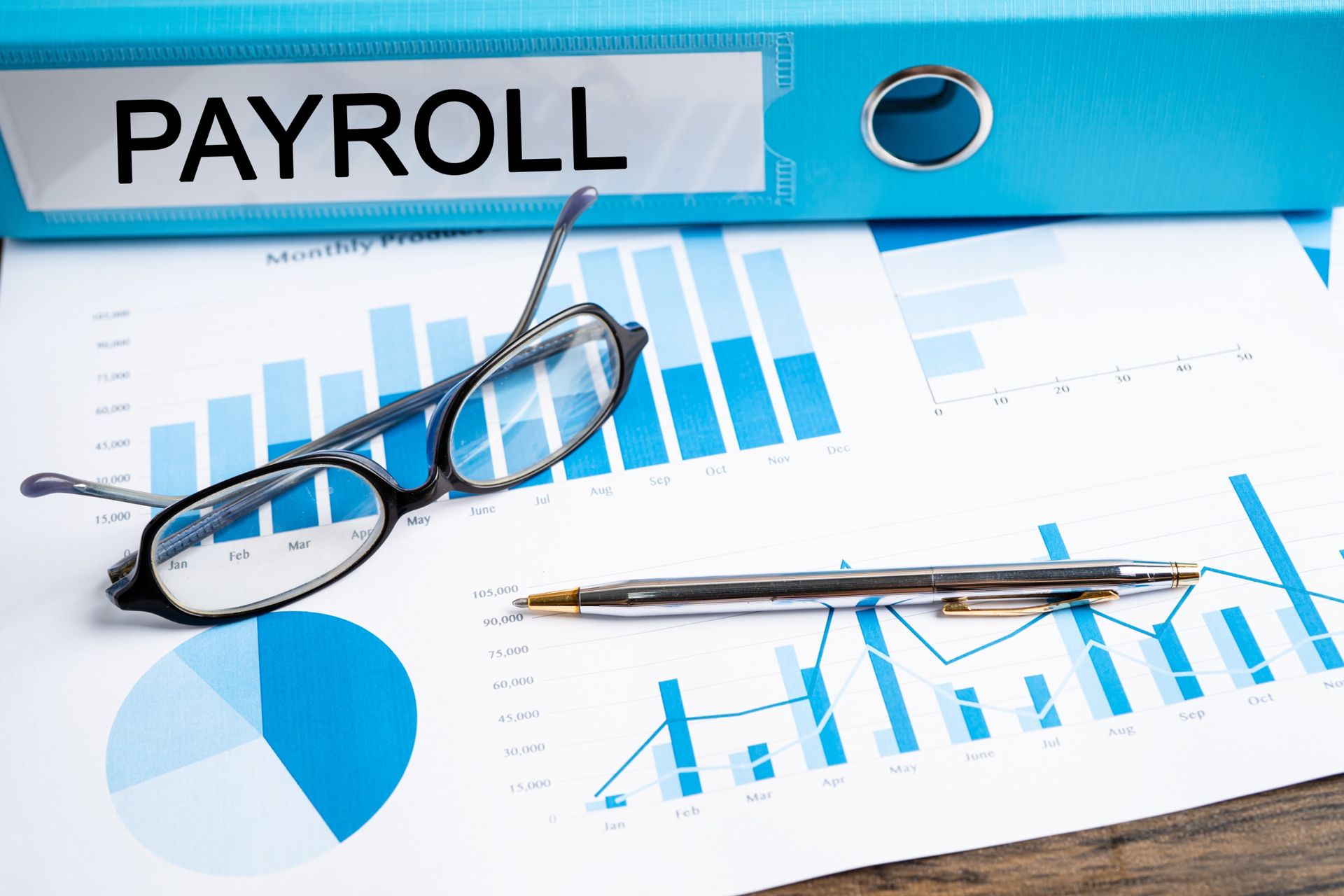  Power of Payroll Services