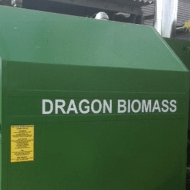 dragon biomass