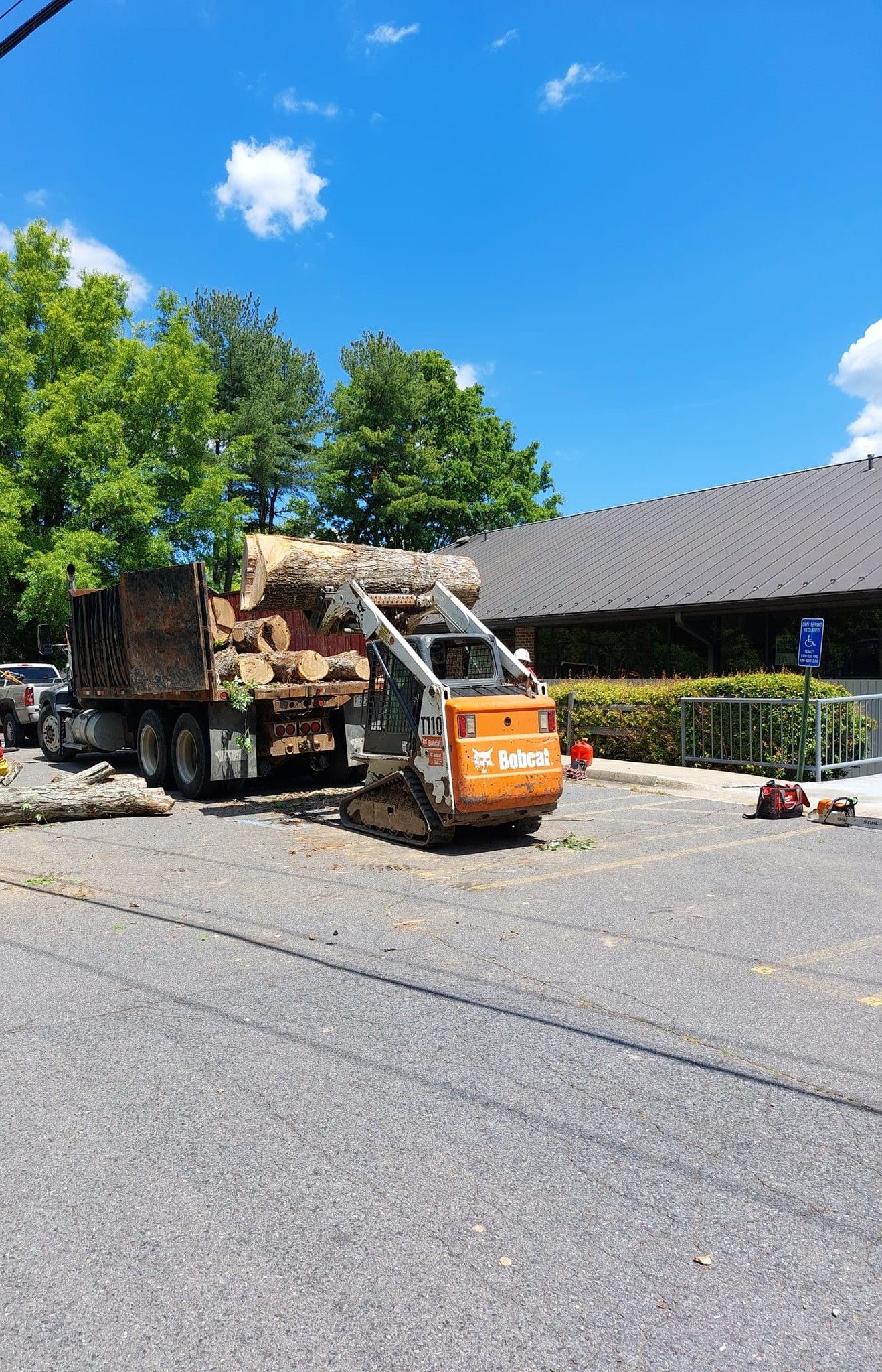 Tree Removal in Northen Va