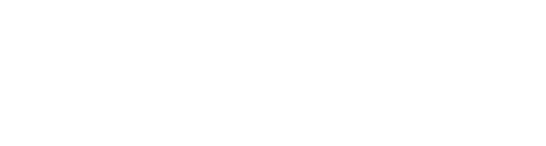Duncan Plumbing & Heating Logo